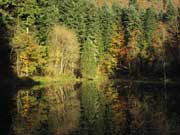Ruhig liegt der da: der Manderscheider Burgweiher