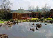 Der Garten mit Grillpavillion und Teich
